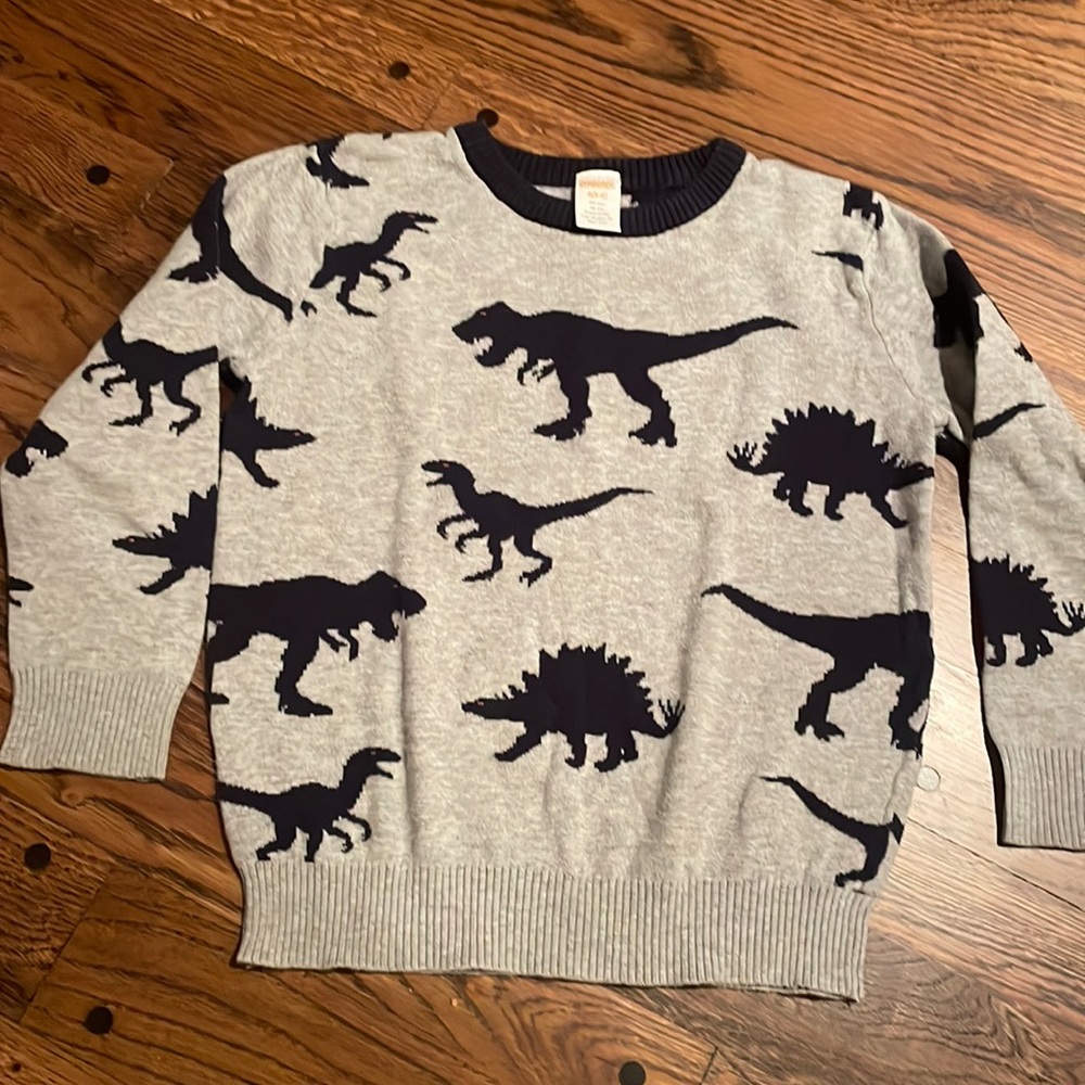 Dinosaur sweater 🦖